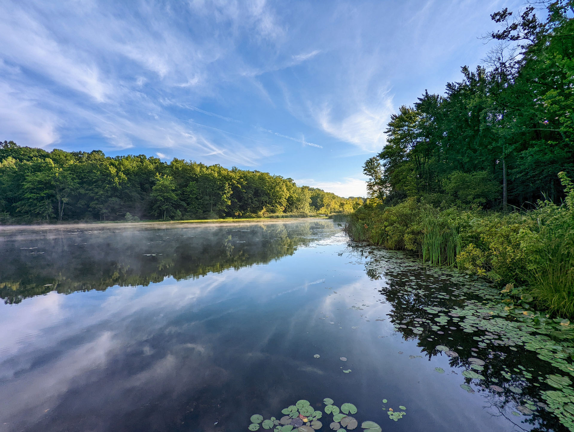 PXL 20220812 121138292~2